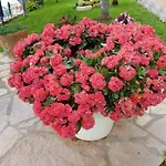Luxury Villa With Stunning Views In Vlore ヴィラ