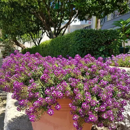 Luxury Villa With Stunning Views In Vlore