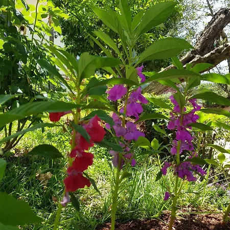 Luxury Villa With Stunning Views In Vlore Villa Vlorë