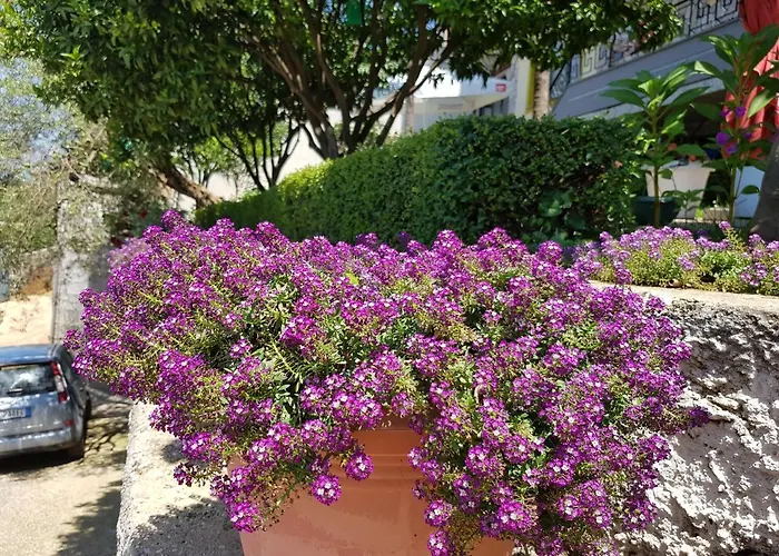 Luxury Villa With Stunning Views In Vlore