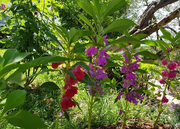 Luxury Villa With Stunning Views In Vlore Villa Vlorë